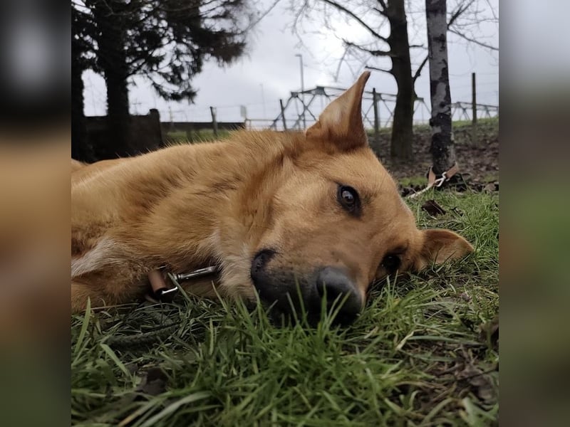 Morty ein wundervolles Wesen