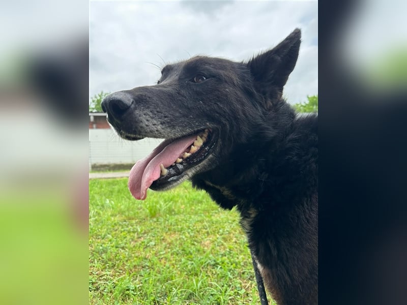 Woolfie möchte erfahren wie schön das Leben sein kann