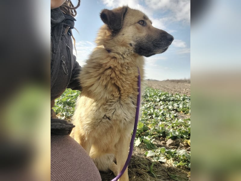 Lotta ein wundervolles Wesen