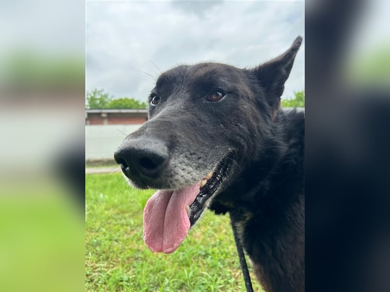 Woolfie möchte erfahren wie schön das Leben sein kann