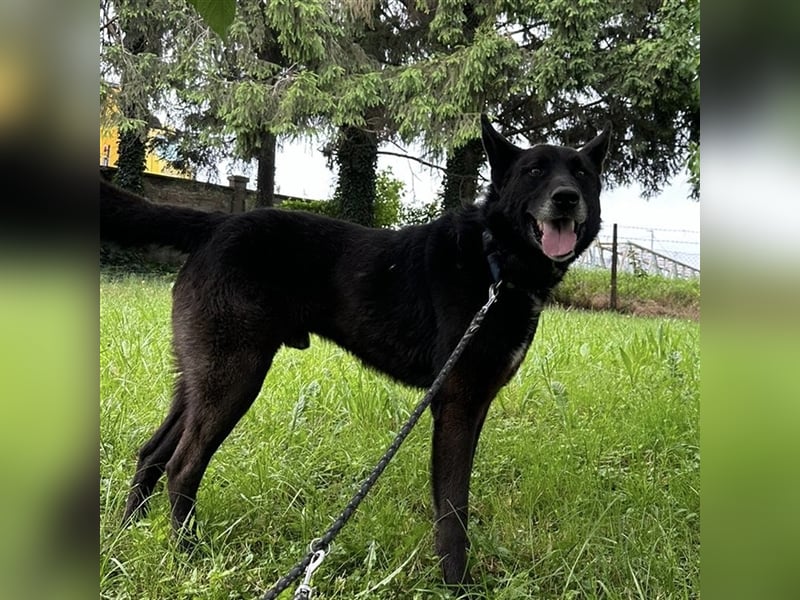 Woolfie möchte erfahren wie schön das Leben sein kann