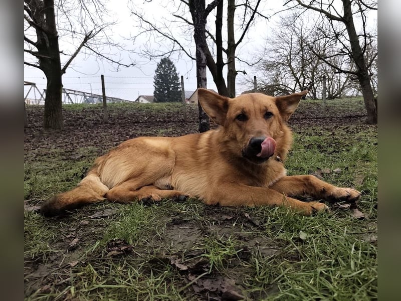 Morty ein wundervolles Wesen