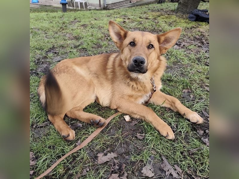 Morty ein wundervolles Wesen