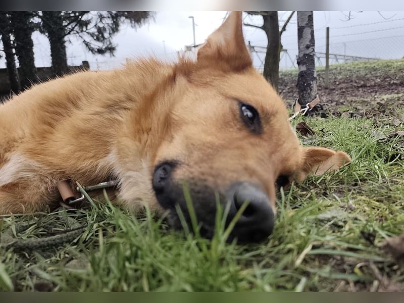 Morty ein wundervolles Wesen