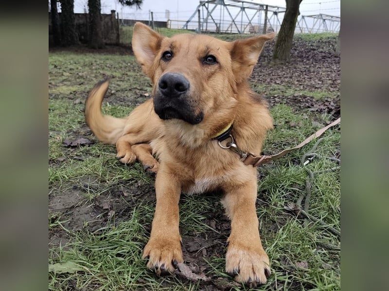 Morty ein wundervolles Wesen