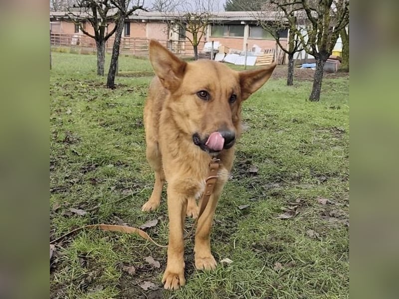 Morty ein wundervolles Wesen