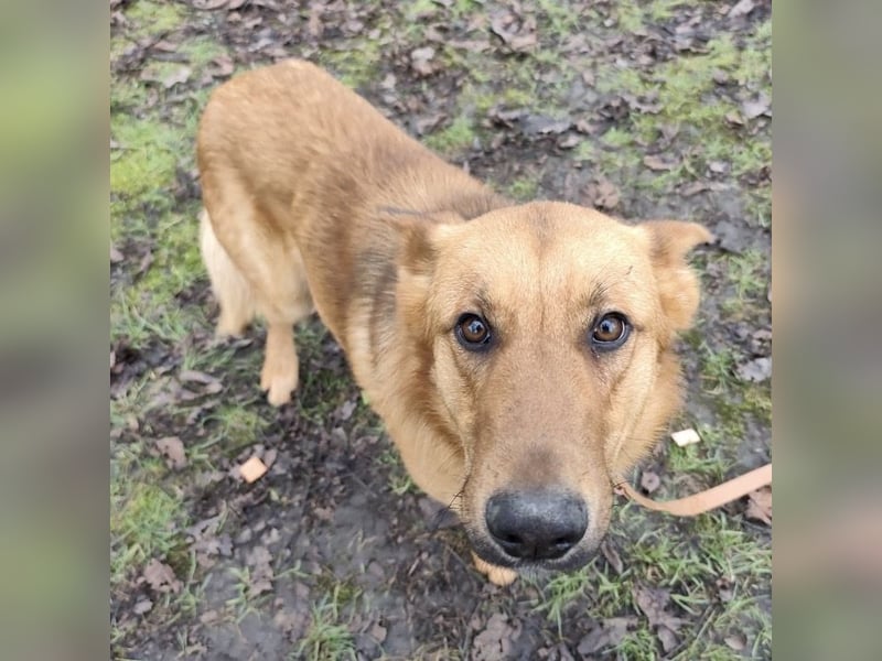 Morty ein wundervolles Wesen