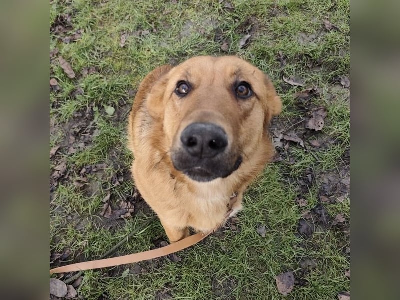 Morty ein wundervolles Wesen