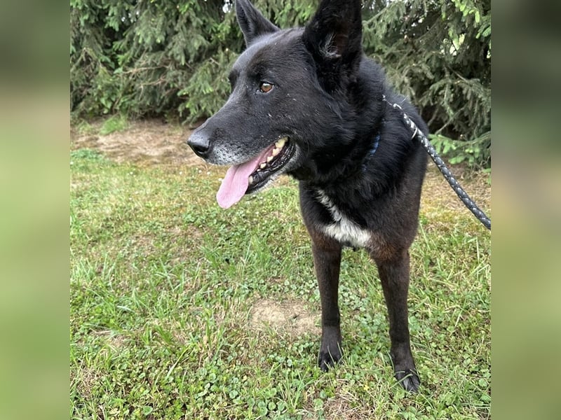 Woolfie möchte erfahren wie schön das Leben sein kann