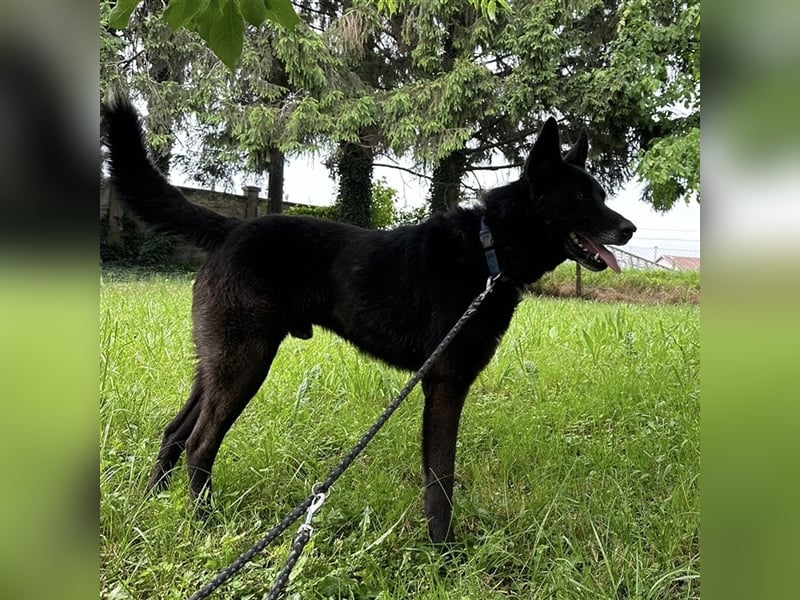 Woolfie möchte erfahren wie schön das Leben sein kann