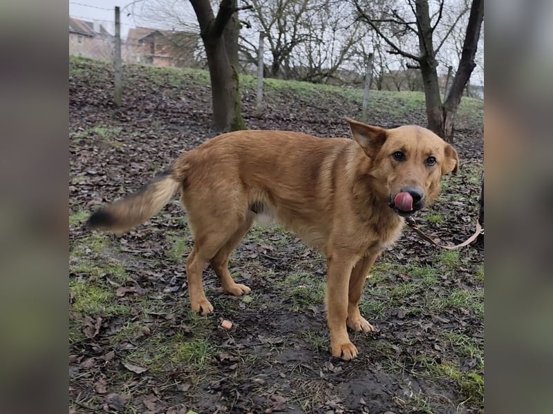 Morty ein wundervolles Wesen