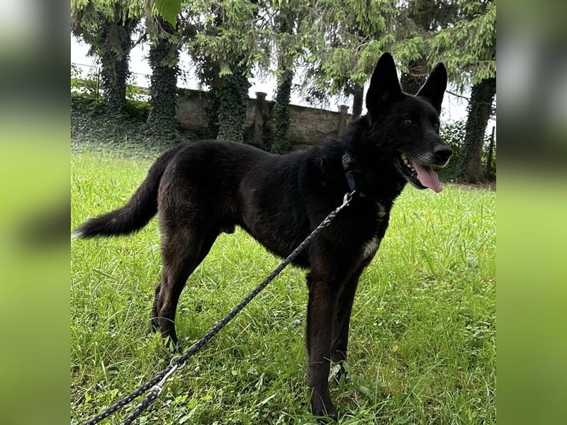 Woolfie möchte erfahren wie schön das Leben sein kann