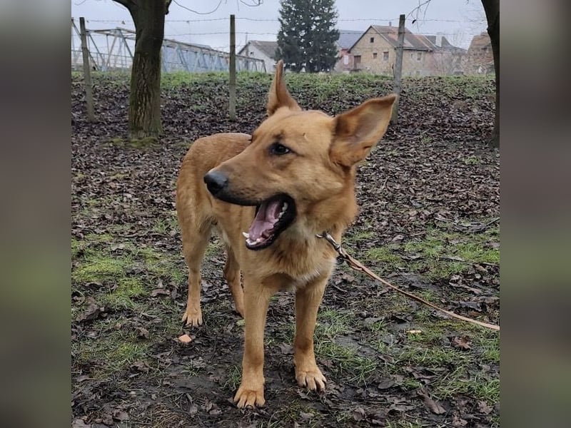 Morty ein wundervolles Wesen