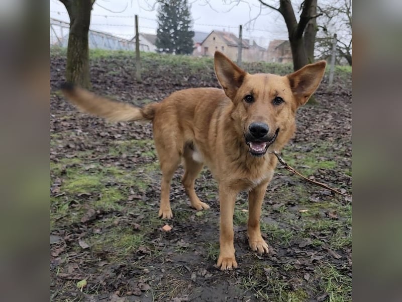 Morty ein wundervolles Wesen