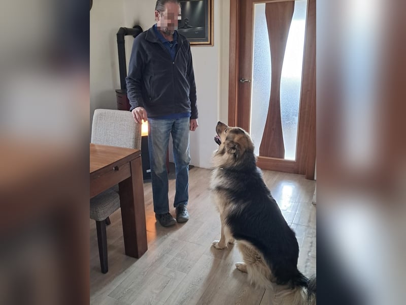 Aron ein gutmütiger großer Bub