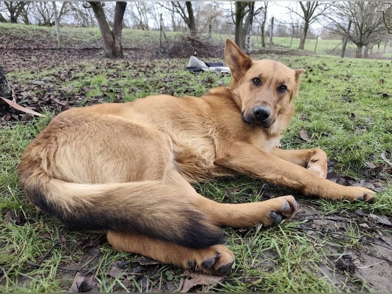 Morty ein wundervolles Wesen