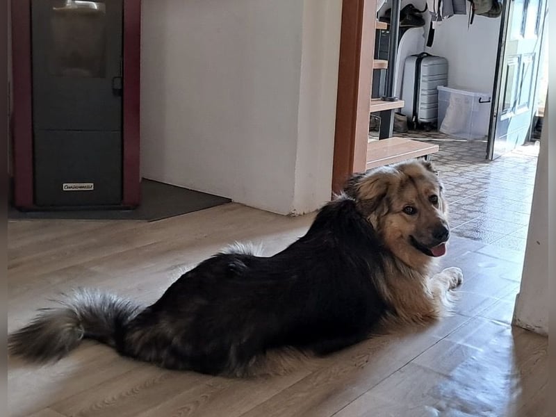 Aron ein gutmütiger großer Bub