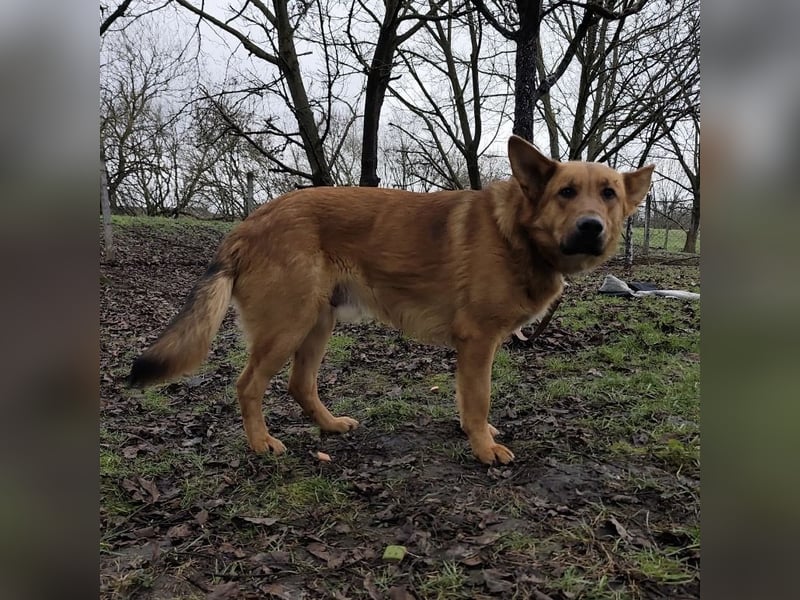 Morty ein wundervolles Wesen