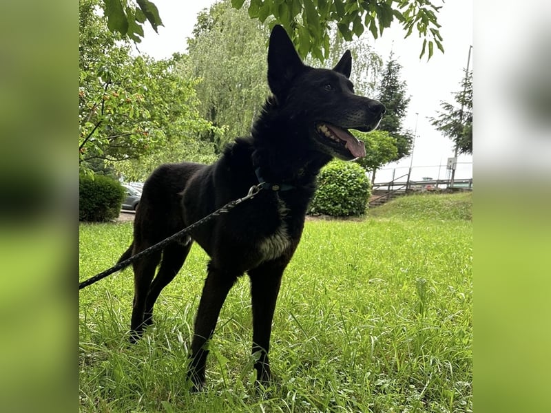 Woolfie möchte erfahren wie schön das Leben sein kann