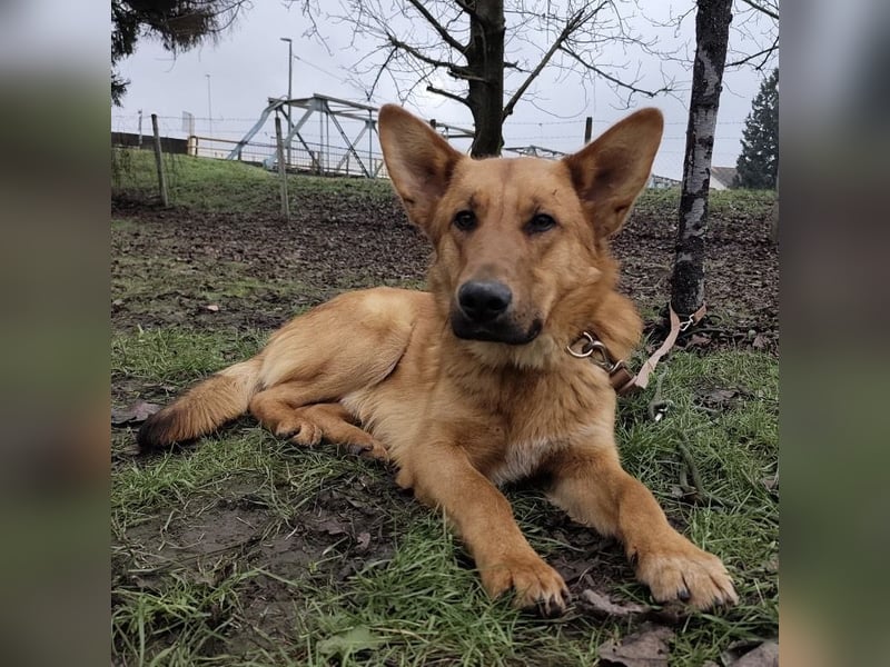 Morty ein wundervolles Wesen