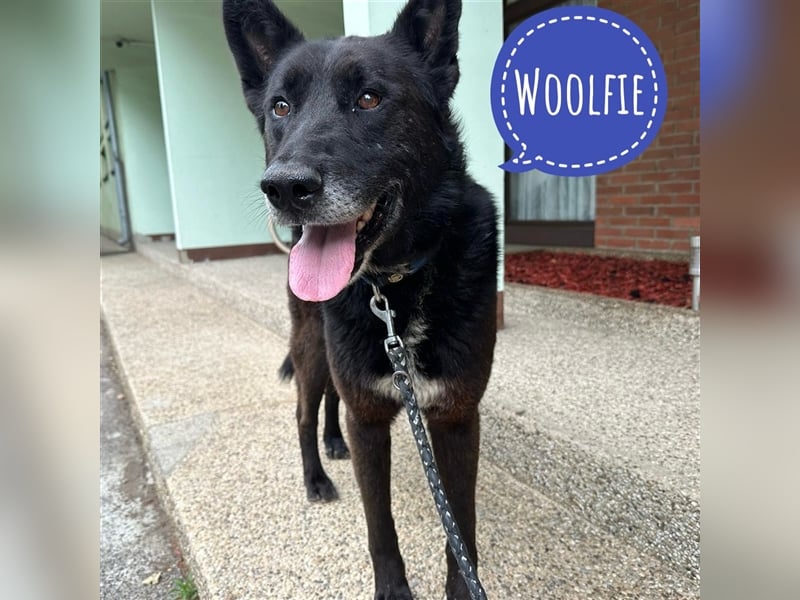 Woolfie möchte erfahren wie schön das Leben sein kann