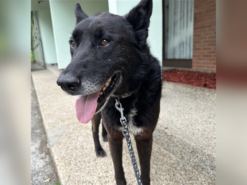 Woolfie möchte erfahren wie schön das Leben sein kann