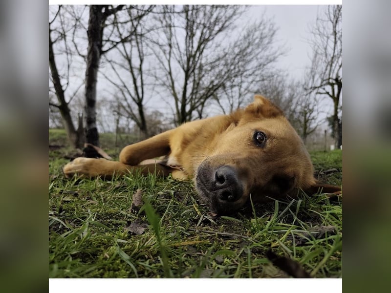 Morty ein wundervolles Wesen