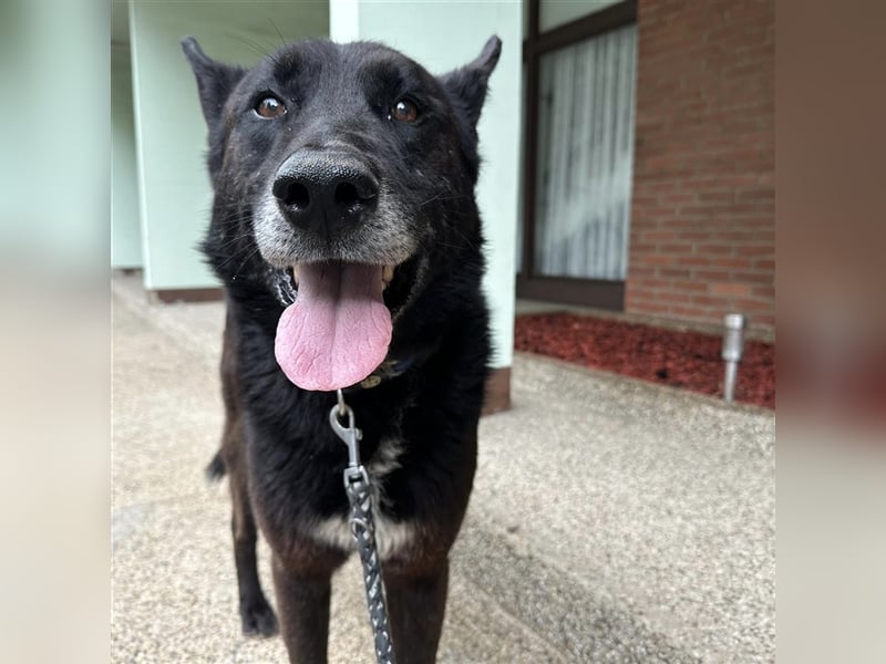 Woolfie möchte erfahren wie schön das Leben sein kann