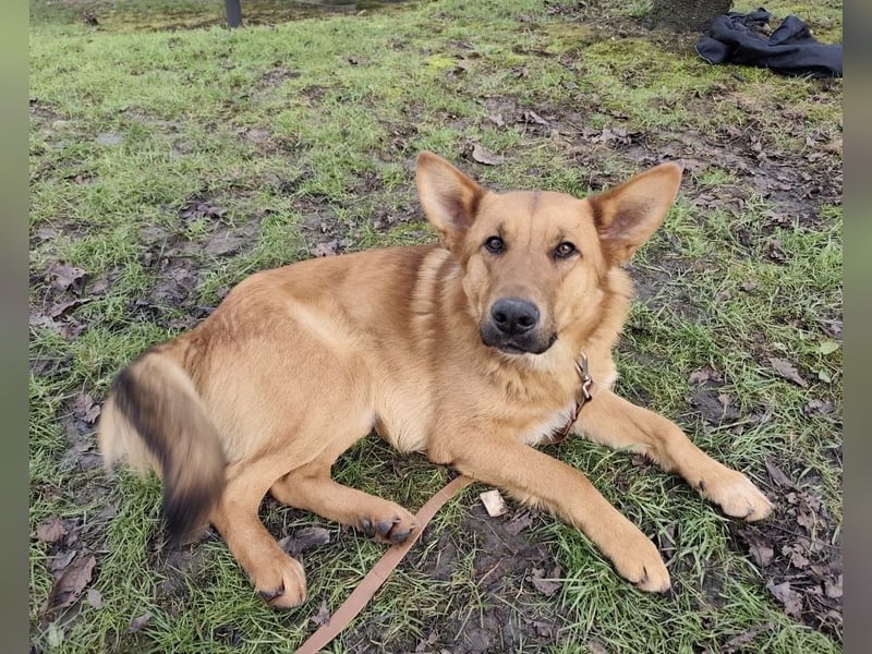 Morty ein wundervolles Wesen