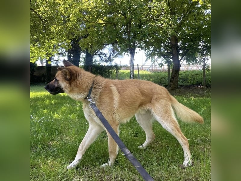 Verny ein sehr lieber sportlicher Bub
