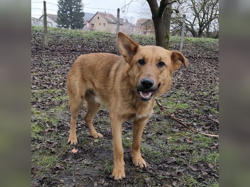 Morty ein wundervolles Wesen