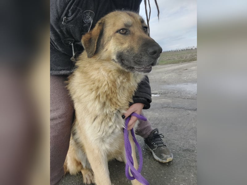 Lotta ein wundervolles Wesen