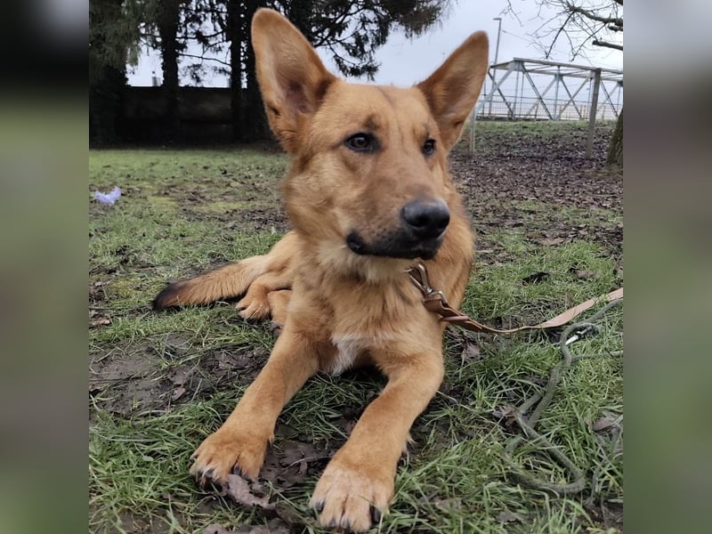 Morty ein wundervolles Wesen