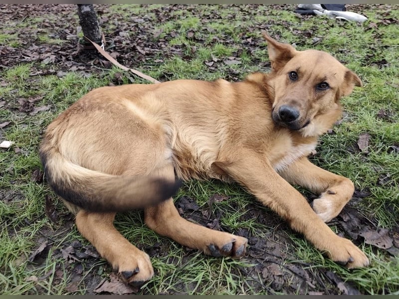 Morty ein wundervolles Wesen