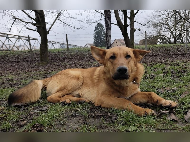 Morty ein wundervolles Wesen