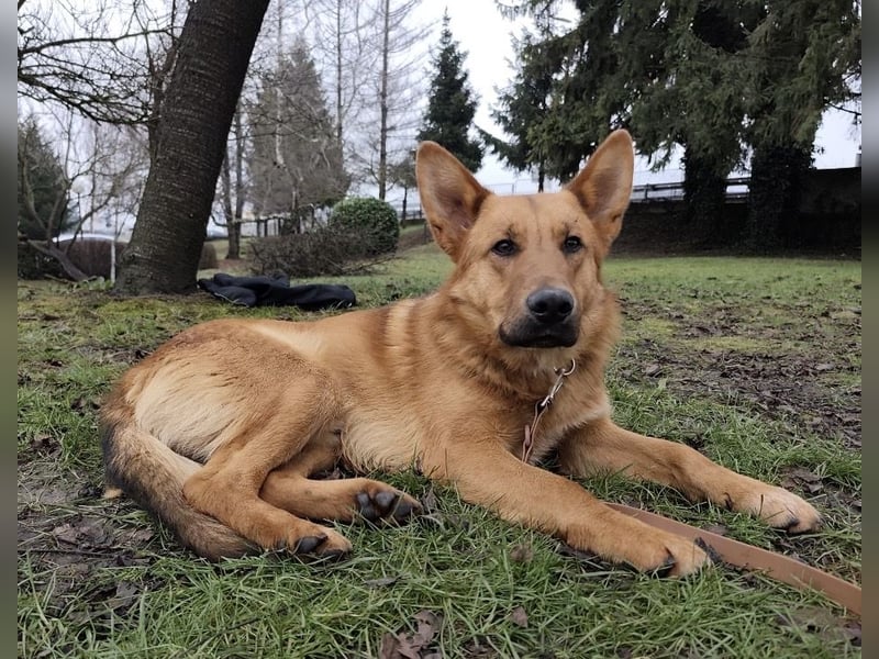 Morty ein wundervolles Wesen