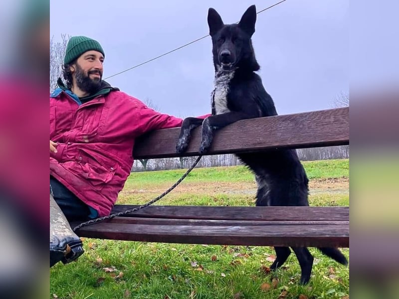 Dino wieder im Tierheim