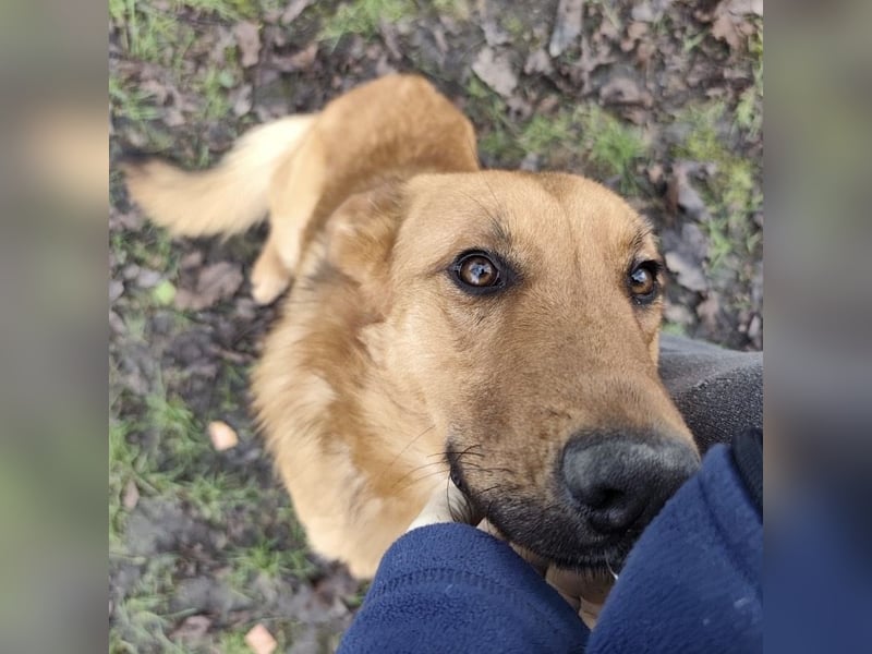 Morty ein wundervolles Wesen