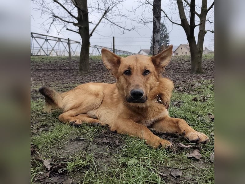 Morty ein wundervolles Wesen