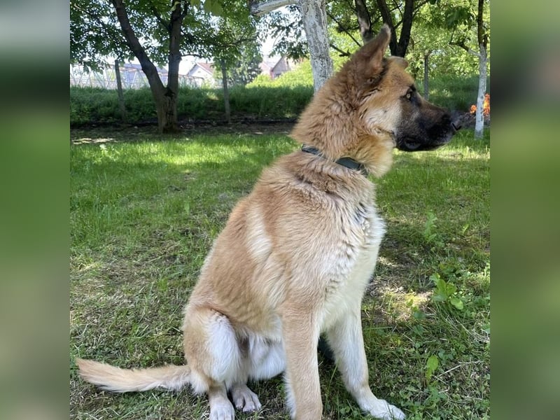 Verny ein sehr lieber sportlicher Bub