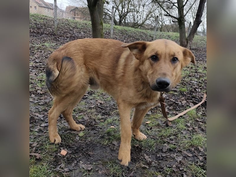 Morty ein wundervolles Wesen