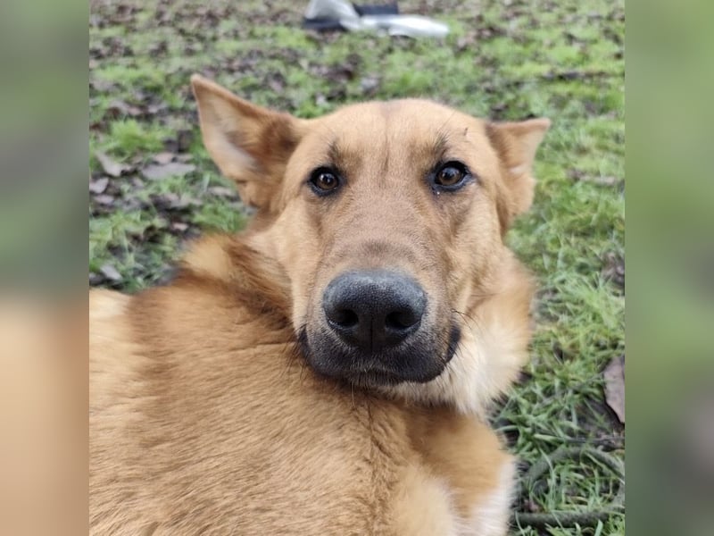 Morty ein wundervolles Wesen