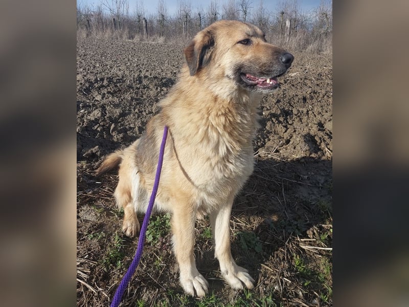 Lotta ein wundervolles Wesen