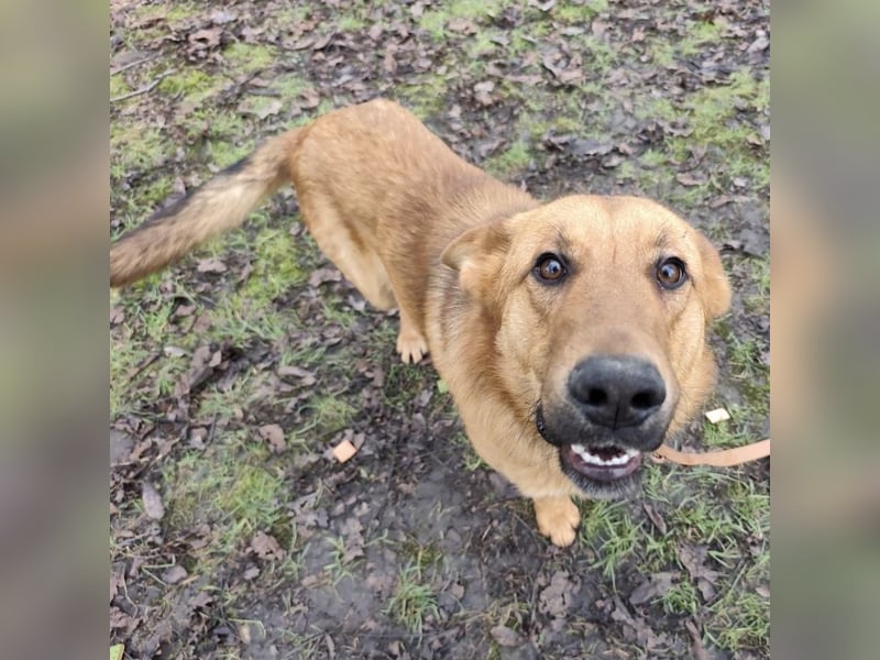 Morty ein wundervolles Wesen