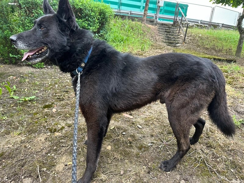 Woolfie möchte erfahren wie schön das Leben sein kann
