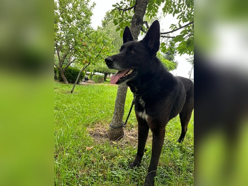 Woolfie möchte erfahren wie schön das Leben sein kann
