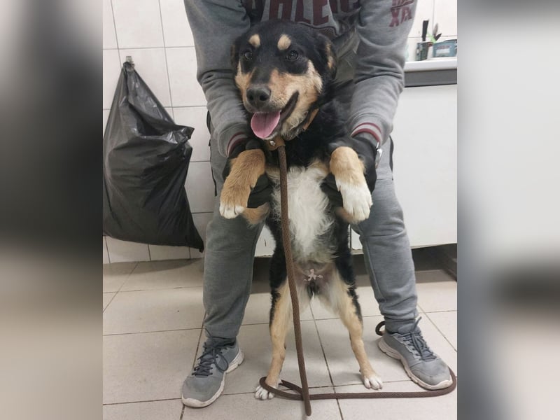 Jagoda ein fröhliches Mädchen