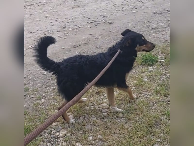 Jagoda ein fröhliches Mädchen