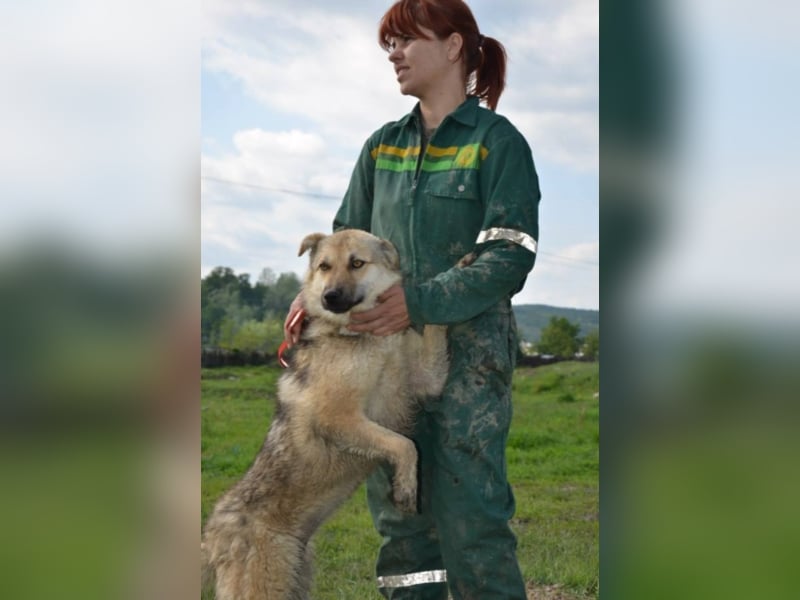 Wolfie sucht ein Zuhause
