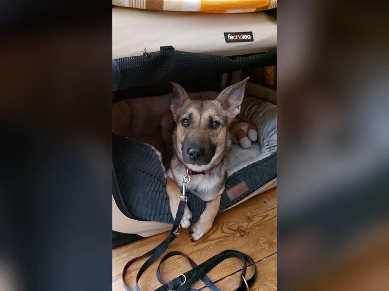 Hope in 10317 Berlin sucht neuen Wirkungskreis